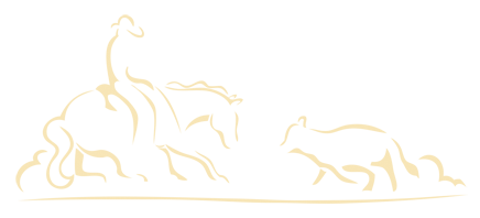 Western Bloodstock, Ltd.