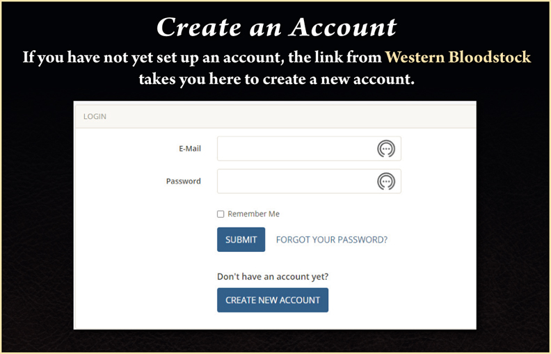 Online_bidding_slider_2